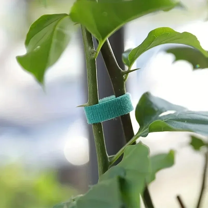 Garden Tape Nylon Cable Tie fo - огляд і ціна Florist Supp