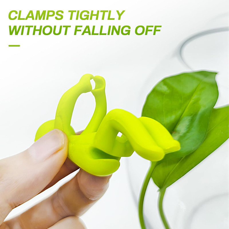 Hydroponic Plant Fixing Figuri - огляд і ціна Florist Supp