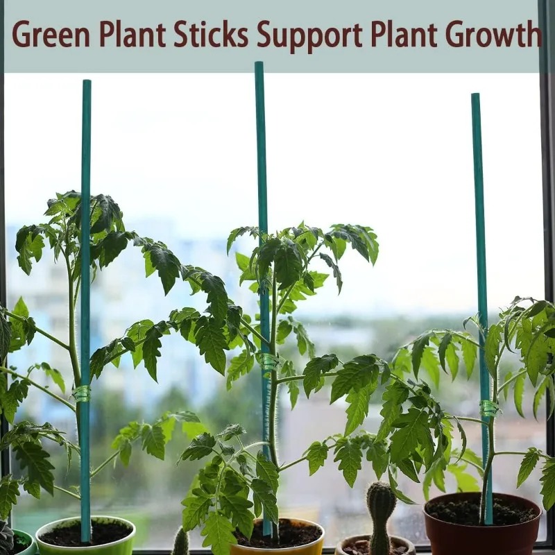 Plant Support Sticks Canes Bam - огляд і ціна Florist Supp