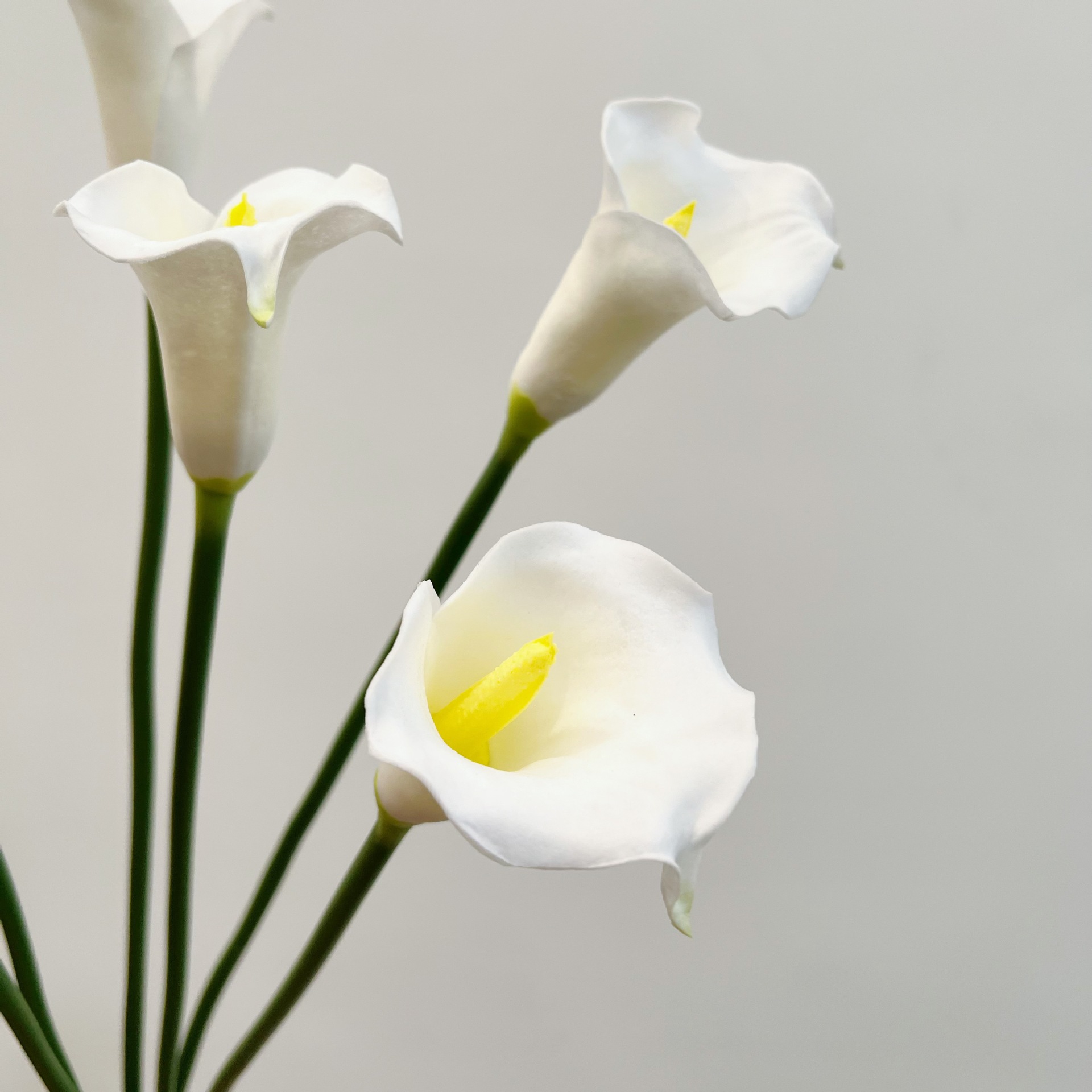 26 Inch Single Stem Crescent C - огляд і ціна Florist Supp
